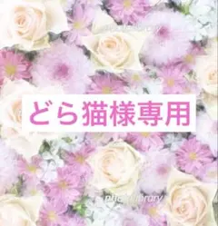 どら猫様 リクエスト 7点　まとめ商品