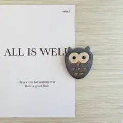 【限定1点】 ブローチ アクリル アクセサリー ヘアクリップ 【B119】