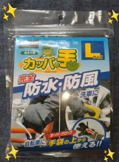 Item thumbnail for item a3bb72cf-4c13-4da0-ac1b-ec1b6ebec899