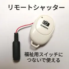 Item thumbnail for item 40258f8b-ae11-494c-aaa4-39daa6aa419f