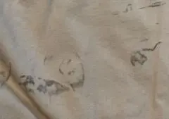 半袖シャツ 汚れあり