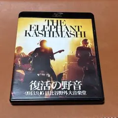 2026年最新】エレカシ 野音の人気アイテム - メルカリ