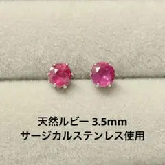 Item thumbnail for item 0567b319-041e-4eb9-9984-d012e710bc36