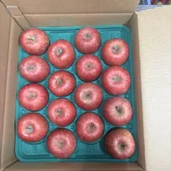 青森県産サンふじ家庭用。減農薬。現物発送！④