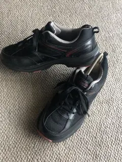 Item thumbnail for item 06863494-04e5-42bd-97a3-5e18051a9660