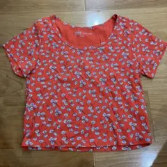 Item thumbnail for item adcdf5bc-0292-4037-a015-fbc78f88c77f