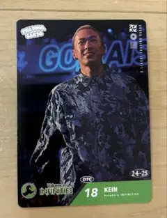 Item thumbnail for item 2e67f755-7499-442f-903e-67401a81e102