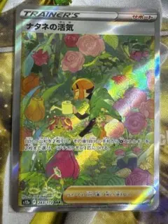 ナタネの活気 SAR S12a VSTARユニバース 243/172