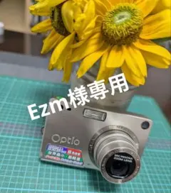 Item thumbnail for item 187a6006-dde7-4923-8c7b-c75536f5497e