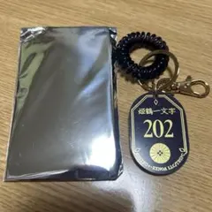 姫鶴一文字　刀ステ　禺伝再演　アクキー　匿名配送