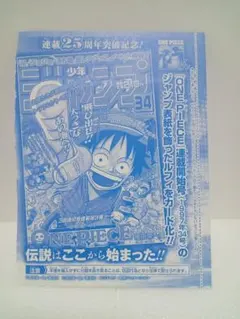 ワンピースカードゲーム週刊少年ジャンプ特別限定とじ込み付録 モンキー・D・ルフィ