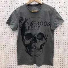 ZARA 古着 フロッキーベロアプリント スカル プ ラメ ボーダーTシャツのサムネイル