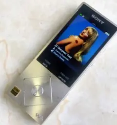 バッテリー良好☆SONY WALKMAN NW-A25 16G シルバー動作OK