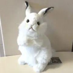 HANSA ハンサ うさぎ ぬいぐるみ