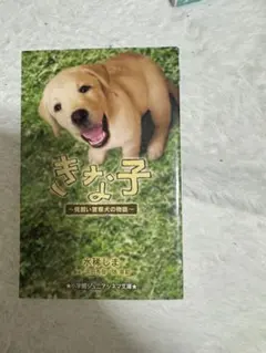 Item thumbnail for item f73fad52-dfe9-442e-b672-4bcd2f5aedce