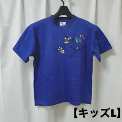 The DisNEy Store Tシャツのサムネイル