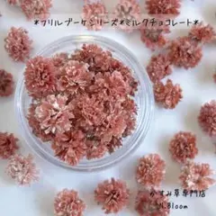 かすみ草　＊ミルクチョコレート＊60粒＋α フリルブーケシリーズドライフラワー
