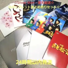 ☆まとめ売りセット☆Snow Man パンフレット ライブツアー 滝沢歌舞伎など