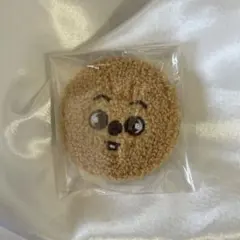 straykids skzoo スキズ ペンミ 缶バッジ クォッカ ハン