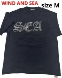 数回着美品 激レアウィンダンシー × リフト Tシャツ S 黒 ヴィンテージ