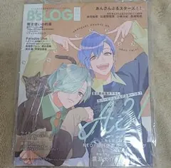 B’s-LOG 11月号 ビーズログ　雑誌本体