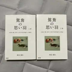 鴛鴦の思い羽 上巻　下巻　セット