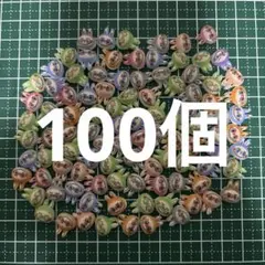 B品 100個 ラブブ ネイルパーツ