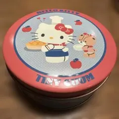 ハローキティ タイニーチャム 缶バッジ 平成 レトロ レア サンリオ