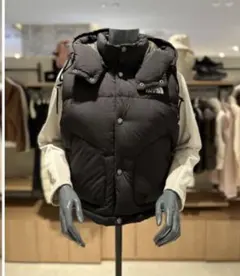 THE NORTH FACE シエラダウンベスト