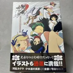 閃乱カグラ 少女達の真影 公式パーフェクトバイブル＋イラスト集