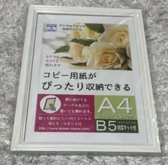 DAISEN デジタルプリント フォトフレーム A4