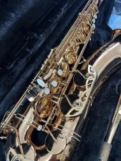 2025年最新】マルカート テナーサックスの人気アイテム - メルカリ