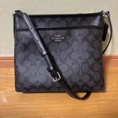 美品✨COACH ショルダーバッグ シグネチャー F29210 ブラック即日発送