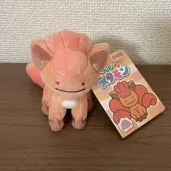 値下げ】へんしん！メタモン ロコン ゼニガメ ぬいぐるみセット【タグ