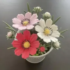 クレイフラワー　ミニコスモス