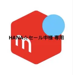 HANA☆セール中様 専用