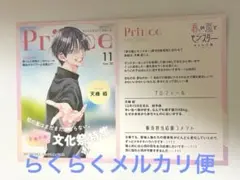 春の嵐とモンスター 天峰栢 特典