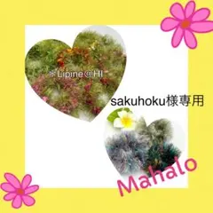 sakuhoku様 リクエスト 2点 まとめ商品 フラダンス シュシュ髪飾り