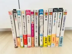 商業BL 小説　まとめ売り　1冊80円〜(手数料・送料別)