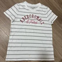 abercrombie kids ストライプ Tシャツ　　140〜150