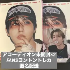 straykids KARMA アコーディオン未開封＋FANSヨントントレカ