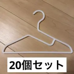 【無印良品】ポリプロピレン洗濯用ハンガー20個セットのサムネイル