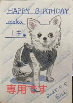 ⭐︎購入専門⭐︎さん専用