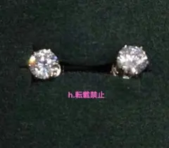 マグネットイヤリング（ピアスではありません）