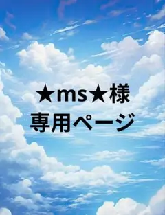★ms★様専用ページ