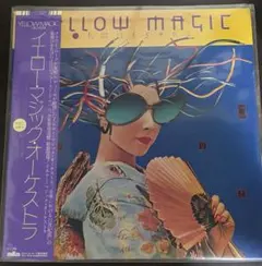 山口美央子 / 夢飛行 (Yume Hiko) 12インチ LPレコード - メルカリ