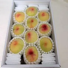 岡山県産白鳳 大玉 ロイヤル 11個入り - メルカリ