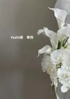 Yoshi様　専用