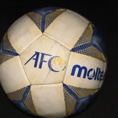 正規品・新品】ブライトンサッカーボール 25/26シーズン 三笘