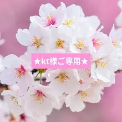 ★kt様ご専用★お花のオーナメント&ミニミニリース